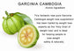 `Garcina cambogia